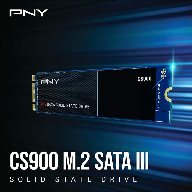 اس اس دی اینترنال پی ان وای مدل PNY CS900 ظرفیت 250 گیگابایت